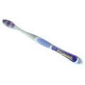 Premium Translucent Handle Toothbrushes